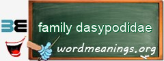 WordMeaning blackboard for family dasypodidae